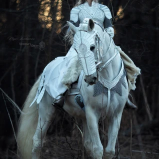 Белая кожаная амуниция на коня