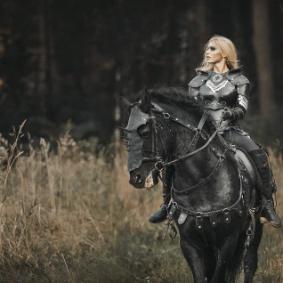 Черная кожаная амуниция на коня