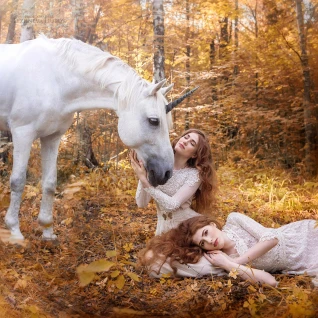 Рог единорога на коня