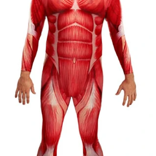 Костюм Анатомия