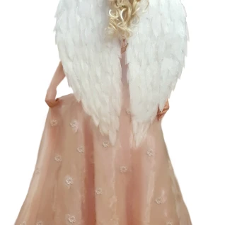 Крылья ангела костюм