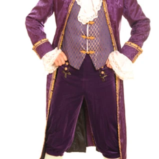 Камзол фиолетовый Костюм