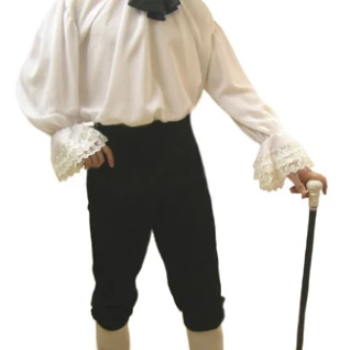 Моцарт Костюм