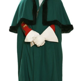 Епонча зеленая (крылатка) Костюм