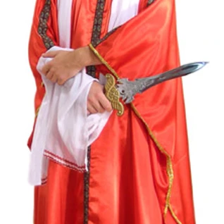 Патриций Костюм