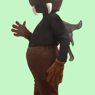 Костюм Жука