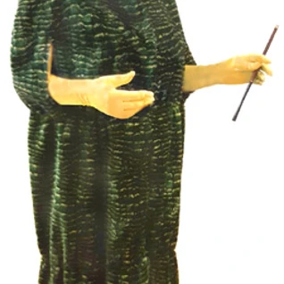 Костюм Гусеницы