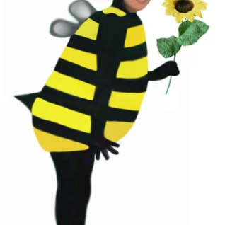 Пчела Костюм
