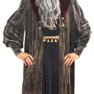 Боярин мужской костюм