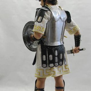 ЩИТ-  АНТИЧНОГО ВОИНА