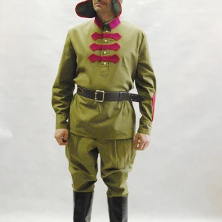 ФОРМА БУДЕНОВЦА