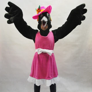 КОСТЮМ ВОРОНЫ