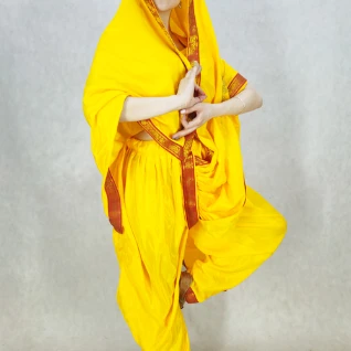 КОСТЮМ ИНДИЙСКОЙ ТАНЦОВЩИЦЫ АМАЛА