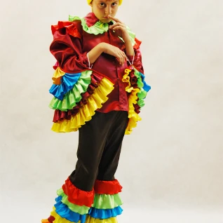 КОСТЮМ ПЕТУХА (шелк)