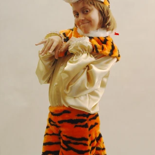 КОСТЮМ ТИГРА