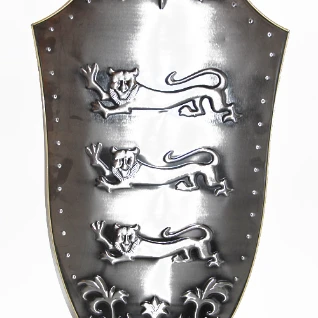 ЩИТЫ РЫЦАРСКИЕ №3