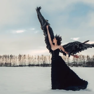 Крылья черные