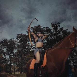 Лук обратно-выгибной