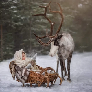Сани детские
