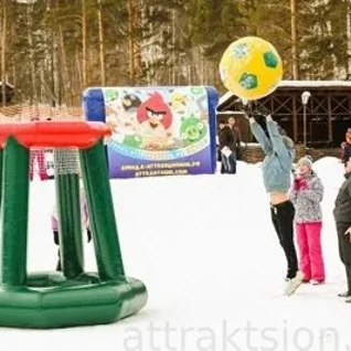 Баскетбол гигантский