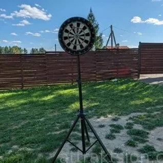 Дартс профессиональный