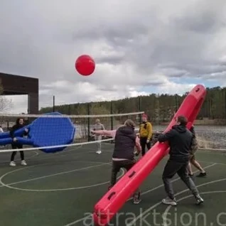 Ракетки игровые гигантские