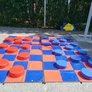 Шашки гигантские