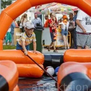 Бильярд гигантский/ Бильярдбол