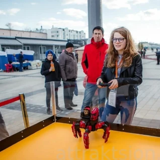 Битва роботов