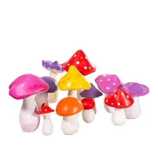 Грибы маленькие в ассортименте