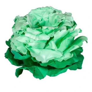 Капуста для выката именинника