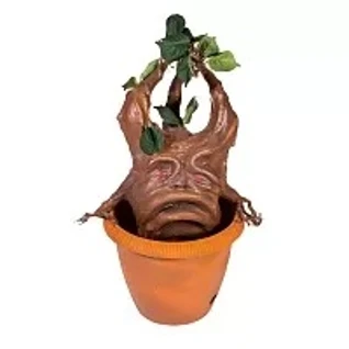 Корень Мандрагоры