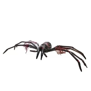 Паук гигантский