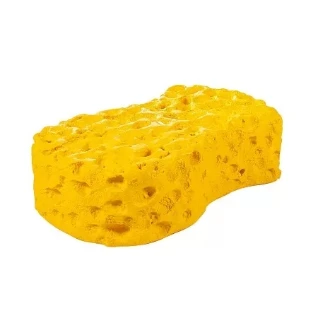 Губка желтая