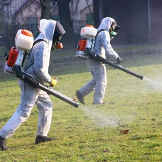 Антивирусная обработка территории и помещений