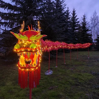 Китайский дракон