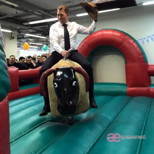 БЫК РОДЕО (офисный)