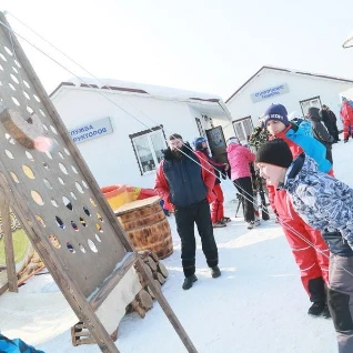 Новогоднее гороховое поле