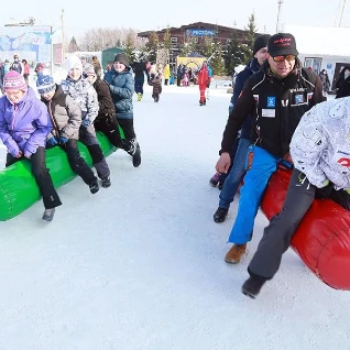 Новогодние бревна