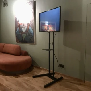 Плазма на стойке