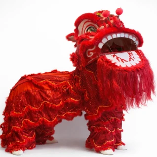 Костюм Китайского льва 