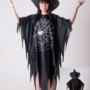 Ведьма Акитра