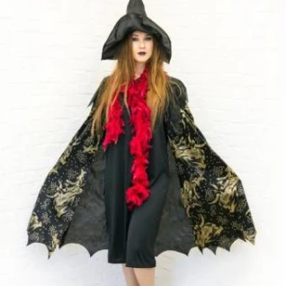 Ведьма Гебура