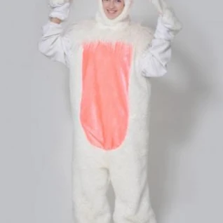 Зайка белый