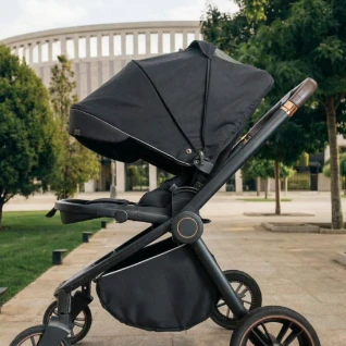 Детская прогулочная коляска Carrello Epica