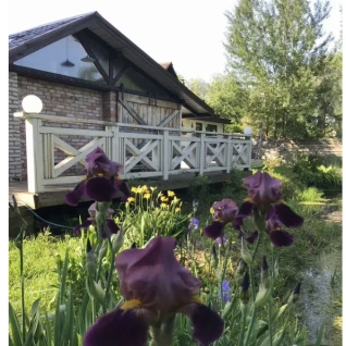 Дом+Беседка+Баня до 3-х чел. Будни(проживание)