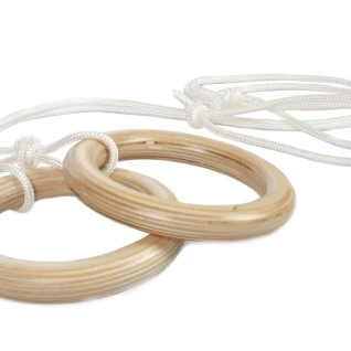 Кольца гимнастические к ДСК