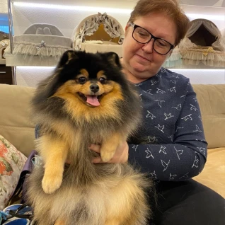 Puffy сеть груминг салонов