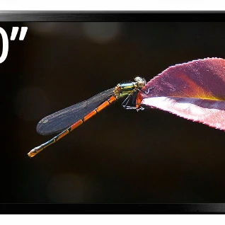 Плазменная/(LED)ЖК панель 60 дюймов (152 см)