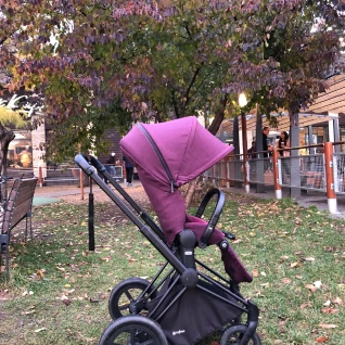 Коляска Cybex Priam Lux 12 кг